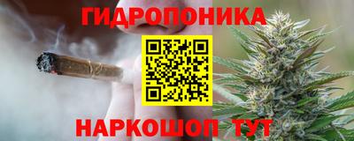 PSILOCYBIN Михайловка