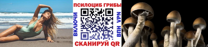 Галлюциногенные грибы GOLDEN TEACHER  как найти закладки  Аша 