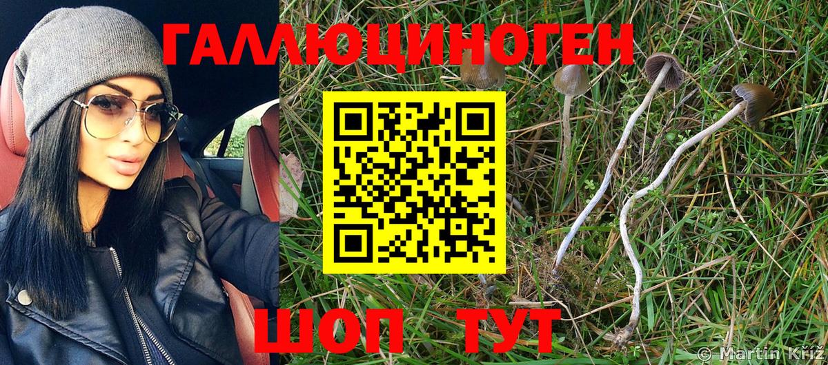 Галлюциногенные грибы MAGIC MUSHROOMS  Вход с VPN  Аша 